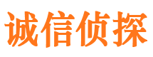 靖安市婚外情调查